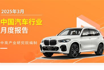 2025年3月中国汽车行业月度报告（完整版）
