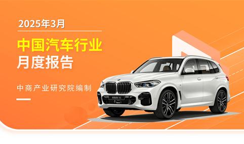 2025年3月中国汽车行业月度报告（完整版）