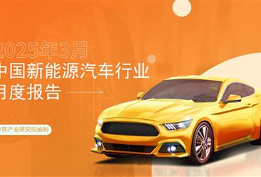 2025年3月中国新能源汽车行业月度报告（完整版）