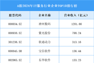 A股2024年IT服务行业企业TOP10排行榜（图）