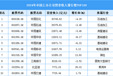 2024年中國上市公司營業(yè)收入排行榜TOP500（附榜單）