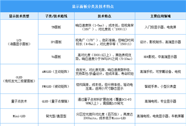 2025年中國顯示面板行業(yè)市場前景預測研究報告（簡版）