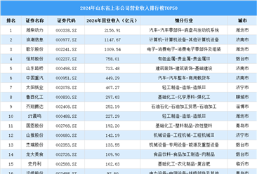 2024年中国山东省上市公司营业收入排行榜（附榜单）