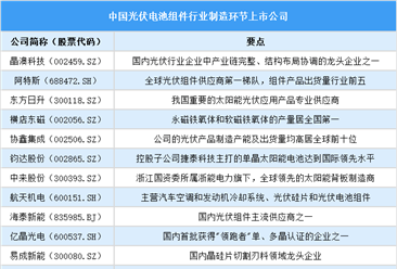 2025年中國(guó)光伏電池組件行業(yè)上市公司全方位對(duì)比分析（企業(yè)分布、經(jīng)營(yíng)情況、業(yè)務(wù)布局等）