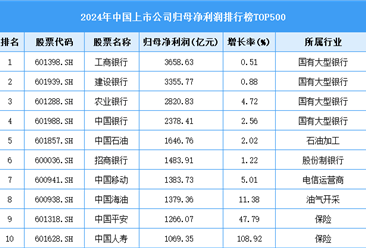 2024年中國上市公司歸母凈利潤排行榜TOP500（附榜單）