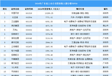 2024年中国广东省上市公司营业收入排行榜（附榜单）