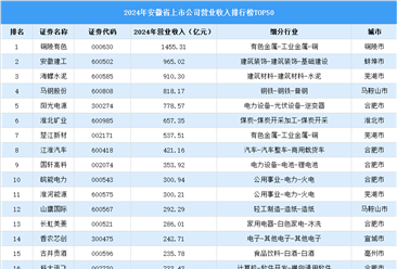 2024年中國安徽省上市公司營業(yè)收入排行榜（附榜單）