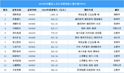 2024年中国安徽省上市公司营业收入排行榜（附榜单）