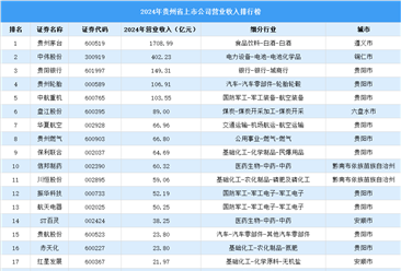2024年中国贵州省上市公司营业收入排行榜（附榜单）