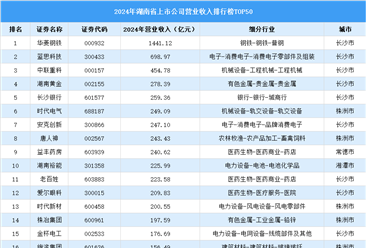 2024年中國湖南省上市公司營業(yè)收入排行榜（附榜單）