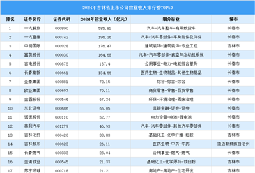 2024年中国吉林省上市公司营业收入排行榜（附榜单）