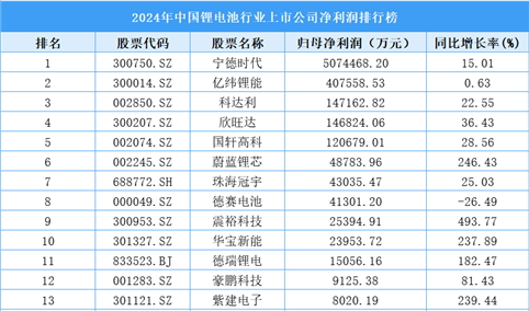 2024年中国锂电池行业上市公司净利润排行榜（附榜单）