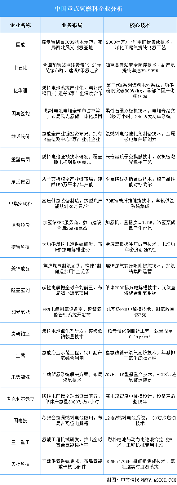 2025年中國氫燃料重點(diǎn)企業(yè)業(yè)務(wù)布局預(yù)測分析（圖）