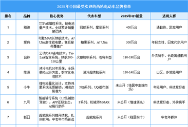 2025年中国最受欢迎的两轮电动车品牌榜单（图）