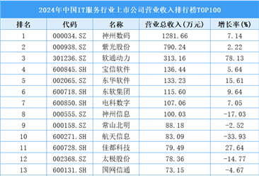 2024年中国IT服务行业上市公司营业收入排行榜TOP100（附榜单）