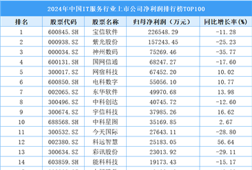 2024年中国IT服务行业上市公司净利润排行榜TOP100（附榜单）