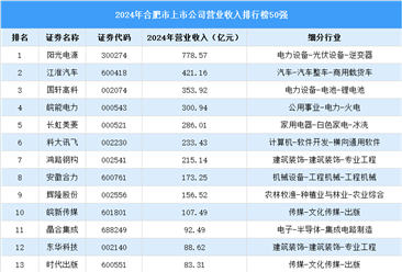 2024年合肥市上市公司营业收入排行榜（附榜单）