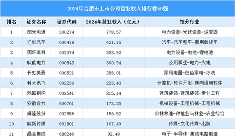 2024年合肥市上市公司营业收入排行榜（附榜单）