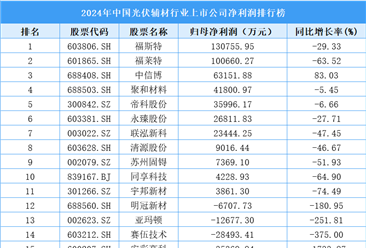 2024年中國(guó)光伏輔材行業(yè)上市公司凈利潤(rùn)排行榜（附榜單）