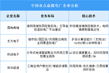 2025年中国虚拟电厂重点企业业务布局预测分析（图）