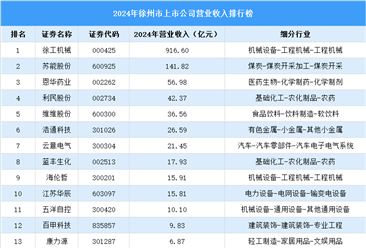 2024年徐州市上市公司营业收入排行榜（附榜单）