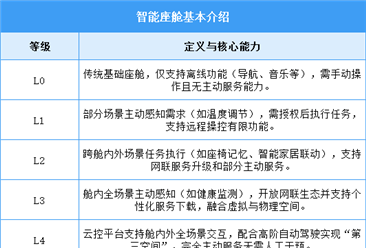2025年中国智能座舱行业市场前景预测研究报告（简版）