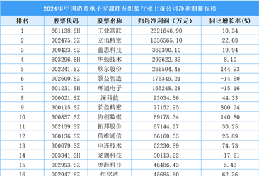 2024年中国消费电子零部件及组装行业上市公司净利润排行榜（附榜单）