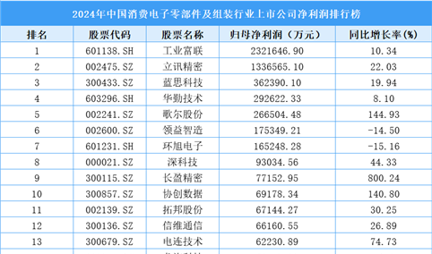 2024年中国消费电子零部件及组装行业上市公司净利润排行榜（附榜单）