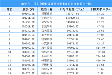 2024年中国车身附件及饰件行业上市公司净利润排行榜（附榜单）
