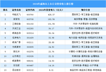 2024年威海市上市公司营业收入排行榜（附榜单）
