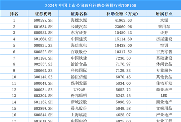 2024年中國上市公司政府補助金額排行榜TOP100（附榜單）