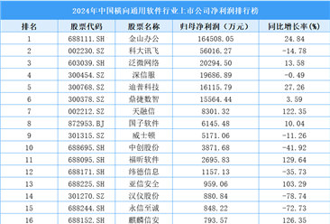 2024年中国横向通用软件行业上市公司净利润排行榜（附榜单）
