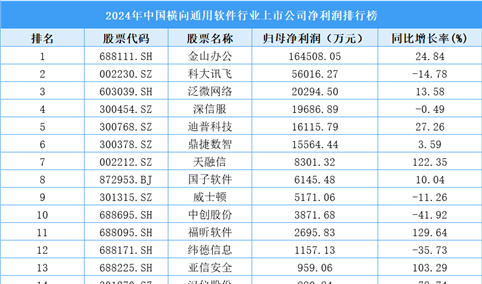 2024年中国横向通用软件行业上市公司净利润排行榜（附榜单）