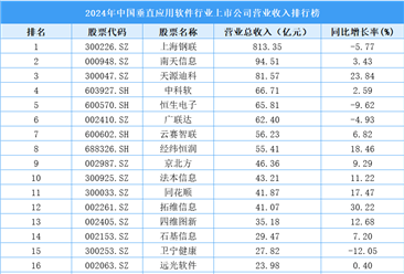 2024年中国垂直应用软件行业上市公司营业收入排行榜（附榜单）