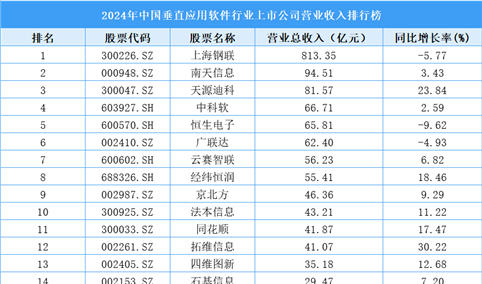 2024年中国垂直应用软件行业上市公司营业收入排行榜（附榜单）