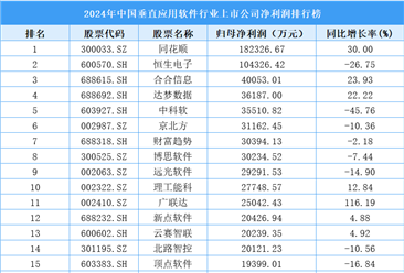 2024年中国垂直应用软件行业上市公司净利润排行榜（附榜单）