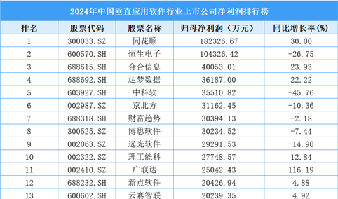 2024年中国垂直应用软件行业上市公司净利润排行榜（附榜单）