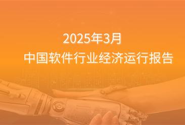 2025年1-3月中国软件行业经济运行报告（附全文）