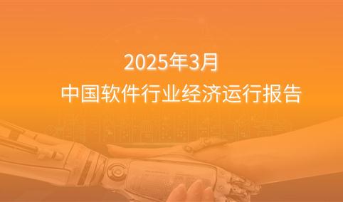 2025年1-3月中国软件行业经济运行报告（附全文）