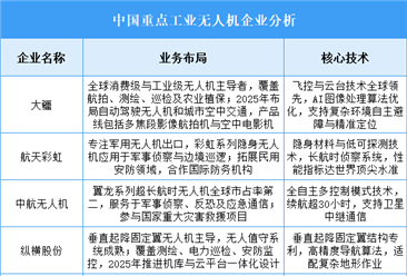 2025年中国工业无人机重点企业业务布局预测分析（图）