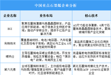 2025年中國(guó)石墨烯重點(diǎn)企業(yè)業(yè)務(wù)布局預(yù)測(cè)分析（圖）