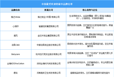 2025年中国最受欢迎的湿巾品牌名单（附名单）