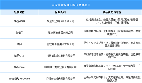 2025年中国最受欢迎的湿巾品牌名单（附名单）