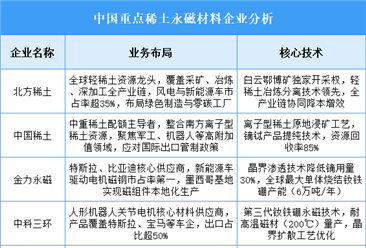 2025年中國稀土永磁材料重點(diǎn)企業(yè)業(yè)務(wù)布局預(yù)測分析（圖）