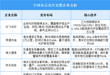 2025年中国光纤光缆重点企业业务布局预测分析（图）