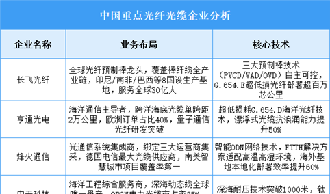 2025年中国光纤光缆重点企业业务布局预测分析（图）