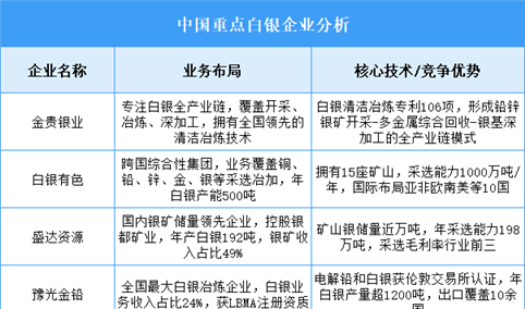2025年中国白银重点企业业务布局预测分析（图）