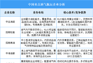 2025年中国油气航运重点企业业务布局预测分析（图）