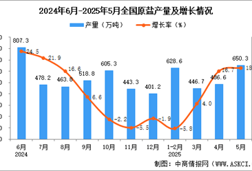 2025年5月全国原盐产量数据统计分析