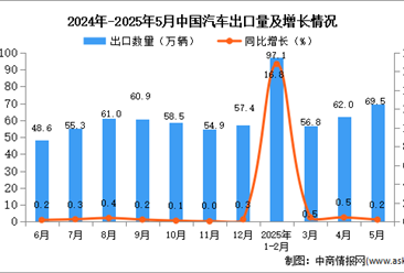 2025年5月中国汽车出口数据统计分析：出口量同比增长0.2%